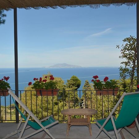 Le Ginestre Di Capri Bb & Holiday House Anacapri  Dış mekan fotoğraf