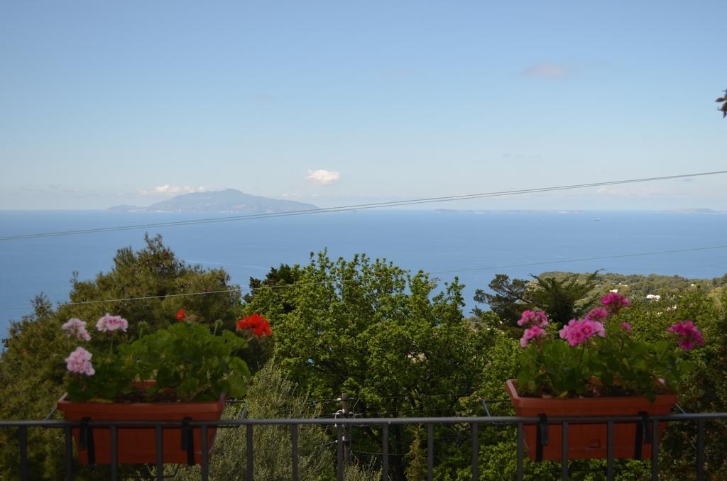 Le Ginestre Di Capri Bb & Holiday House Anacapri  Dış mekan fotoğraf