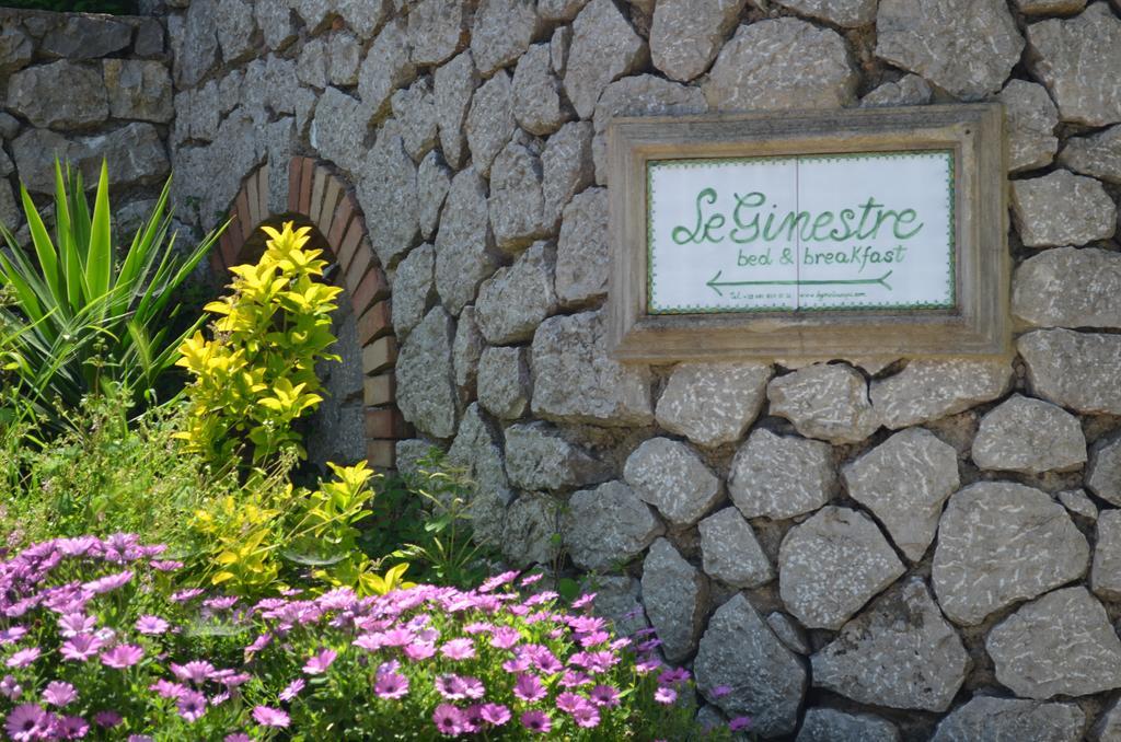 Le Ginestre Di Capri Bb & Holiday House Anacapri  Dış mekan fotoğraf