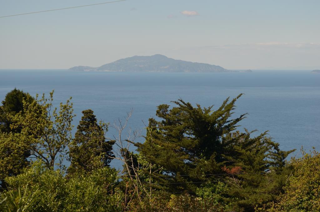 Le Ginestre Di Capri Bb & Holiday House Anacapri  Dış mekan fotoğraf