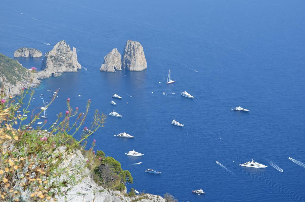 Le Ginestre Di Capri Bb & Holiday House Anacapri  Dış mekan fotoğraf