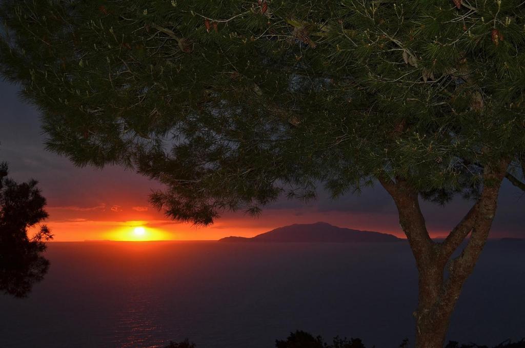 Le Ginestre Di Capri Bb & Holiday House Anacapri  Oda fotoğraf