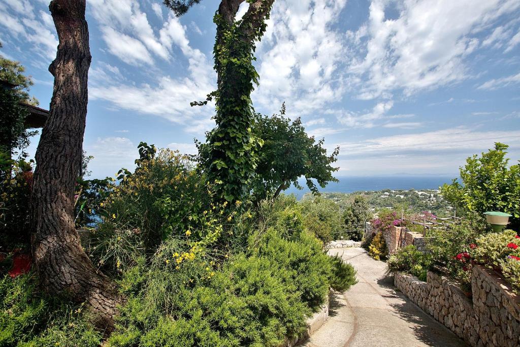 Le Ginestre Di Capri Bb & Holiday House Anacapri  Dış mekan fotoğraf