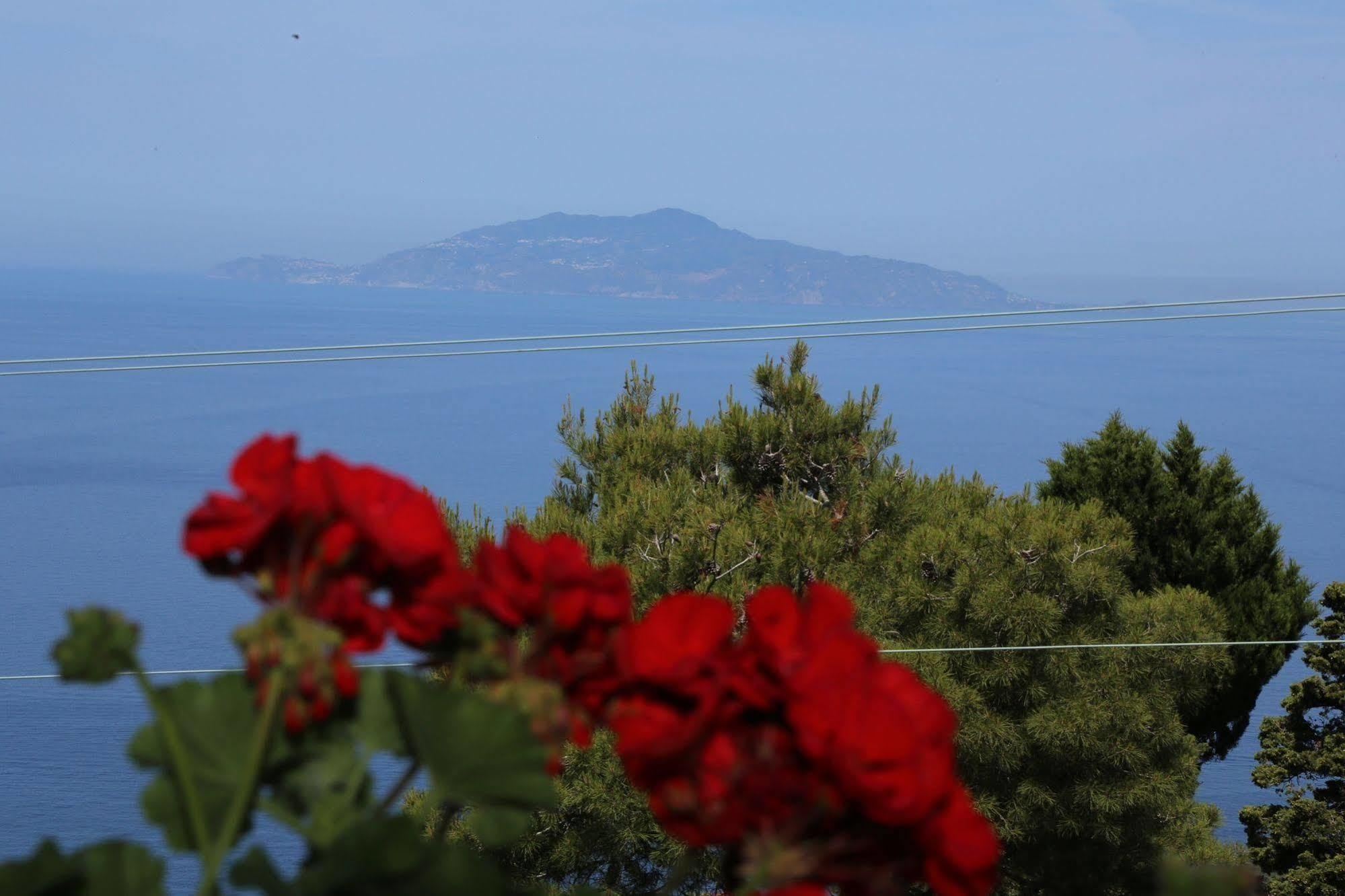 Le Ginestre Di Capri Bb & Holiday House Anacapri  Dış mekan fotoğraf